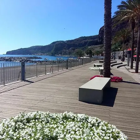 Near The Sea *