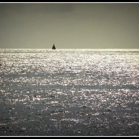 Near The Sea Ribeira Brava